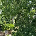 公寓 Forest - 3 Bedrooms & Free Parking