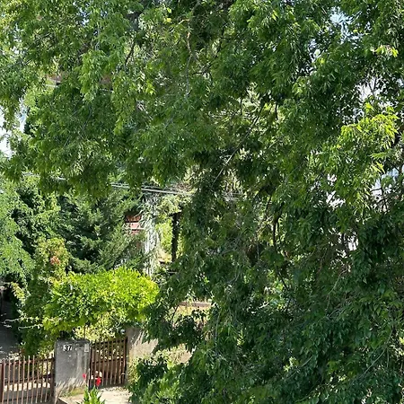 Apartment Forest - 3 Bedrooms & Free Parking