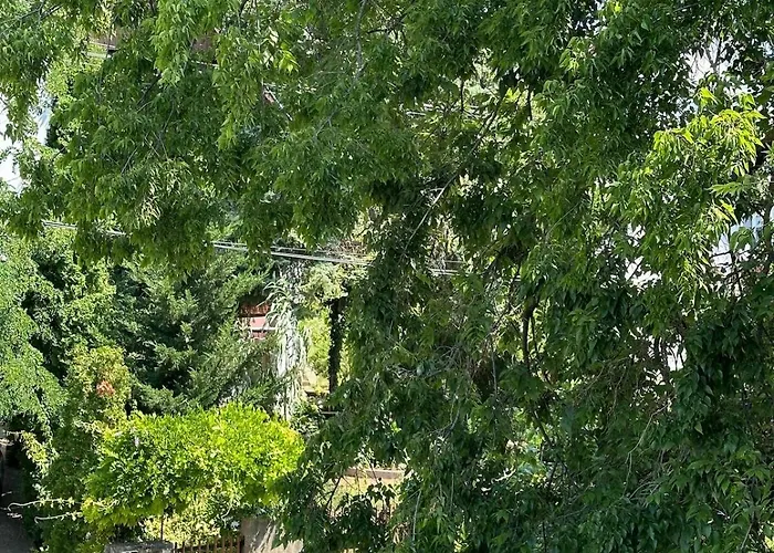 Apartment Forest - 3 Bedrooms & Free Parking