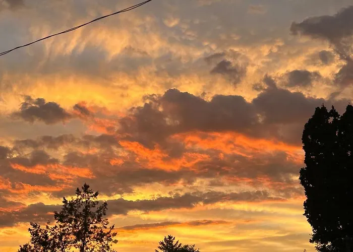 Forest - 3 Bedrooms & Free Parking Apartment